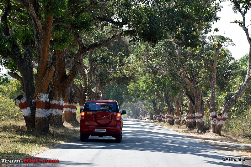 Mahindra TUV300 : Official Review-1_1.jpg