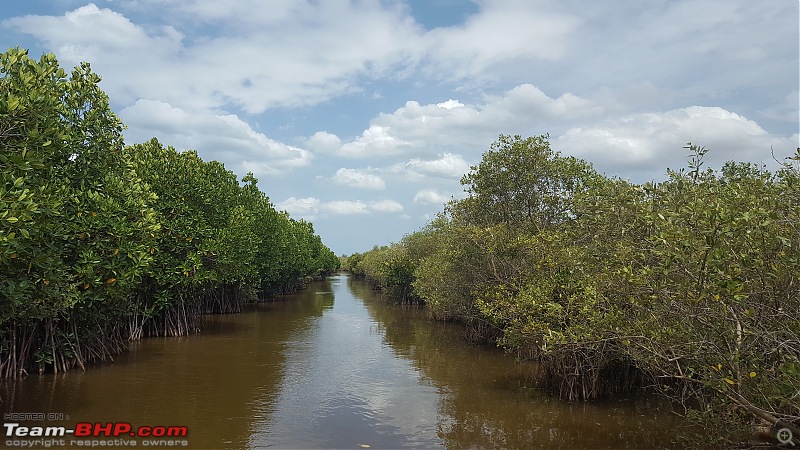 Maruti S-Cross : Official Review-mangrove_2.jpg