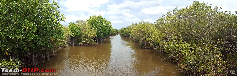 Maruti S-Cross : Official Review-mangrove_panorama.jpg