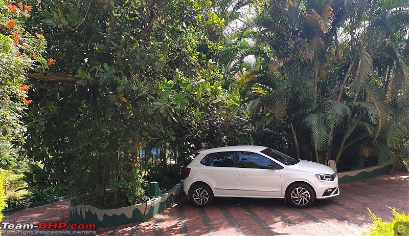 Volkswagen Polo 1.0L TSI : Official Review-vwpolo.jpg