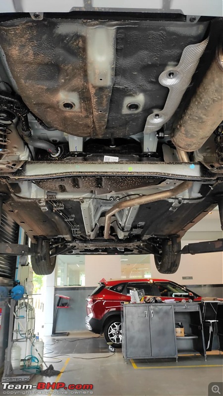 Kia Sonet : Official Review-car-bottom-rear.jpeg