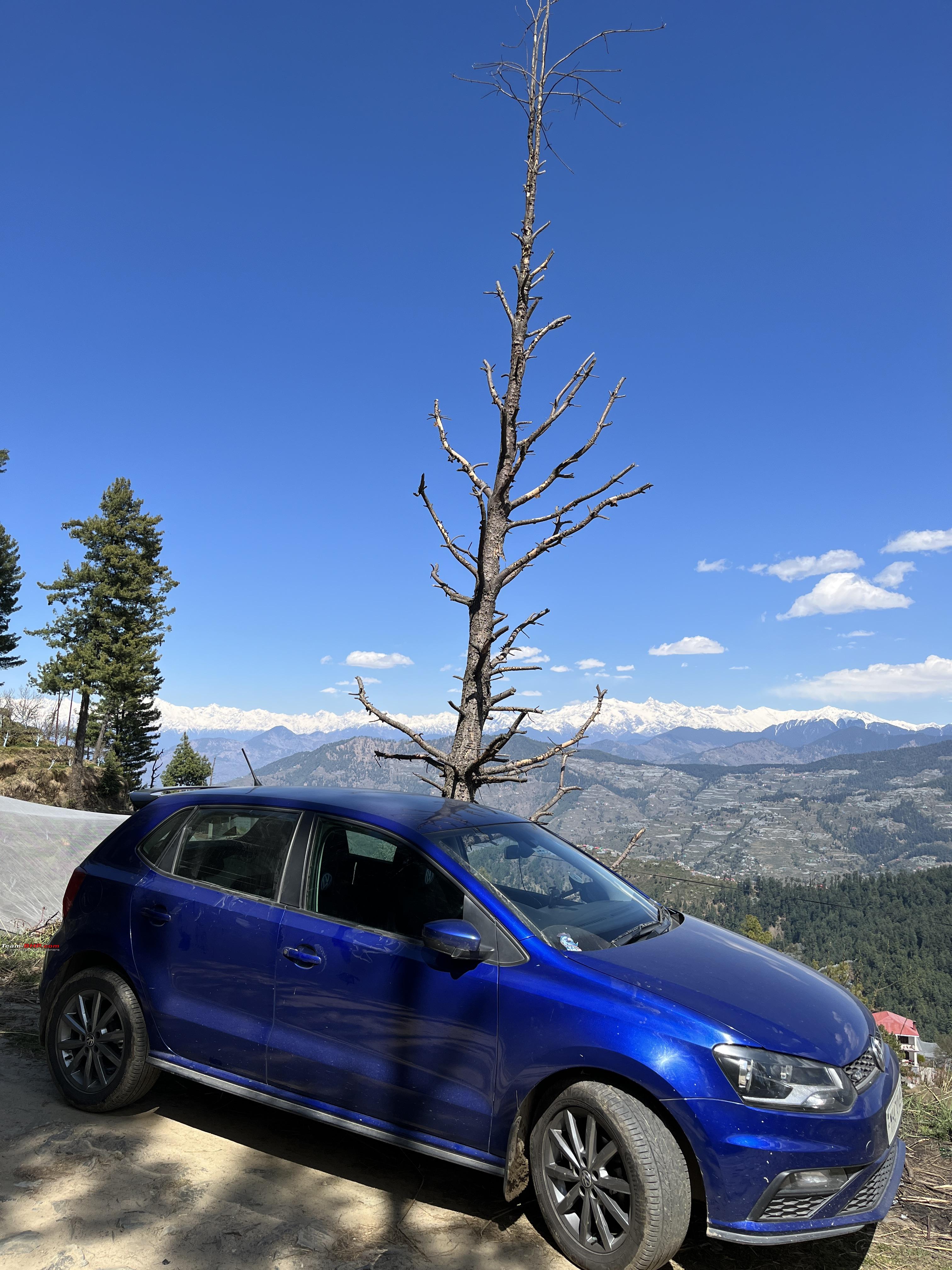 Bonnet guard deals for polo tsi