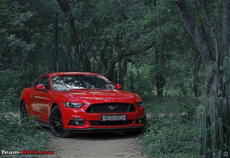 Ford Mustang 5.0 V8 GT : Official Review-img_0302.jpeg