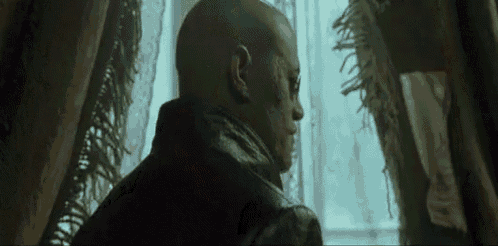 Name:  morpheusatlast.gif
Views: 407
Size:  1.55 MB