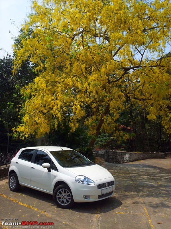 Fiat Grande Punto : Test Drive & Review-20120327_111431_800.jpg