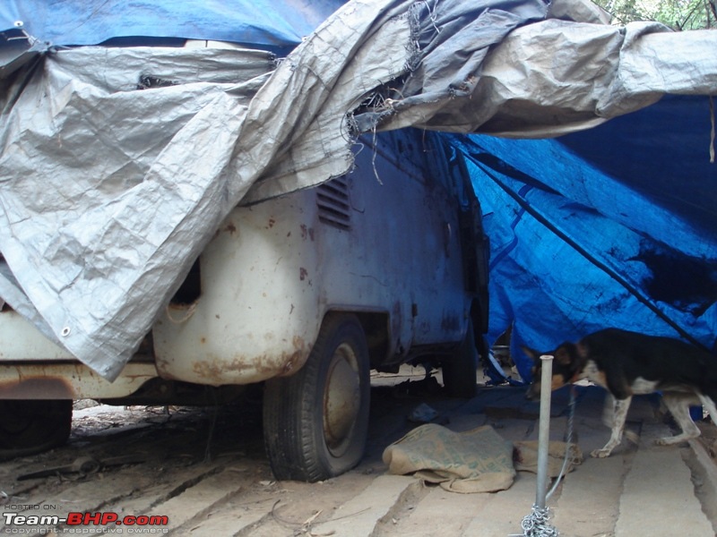 Classic Volkswagens in India-dsc08329.jpg