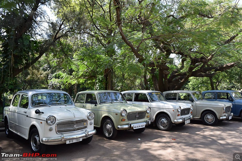 Fiat 1100 Club - Bangalore [FCB]-4.jpg