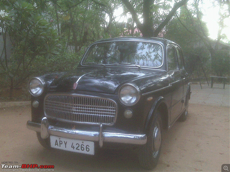 My 1960 Fiat 1100-pic01.gif