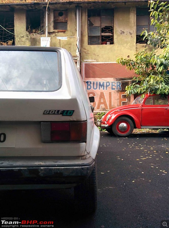 Smokey the rabbit - 1980 VW Golf-7758x1024.jpg