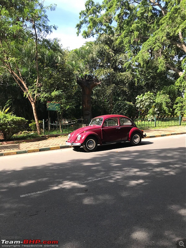 Kaizer - My 1967 Beetle VW1300-1-1.jpeg