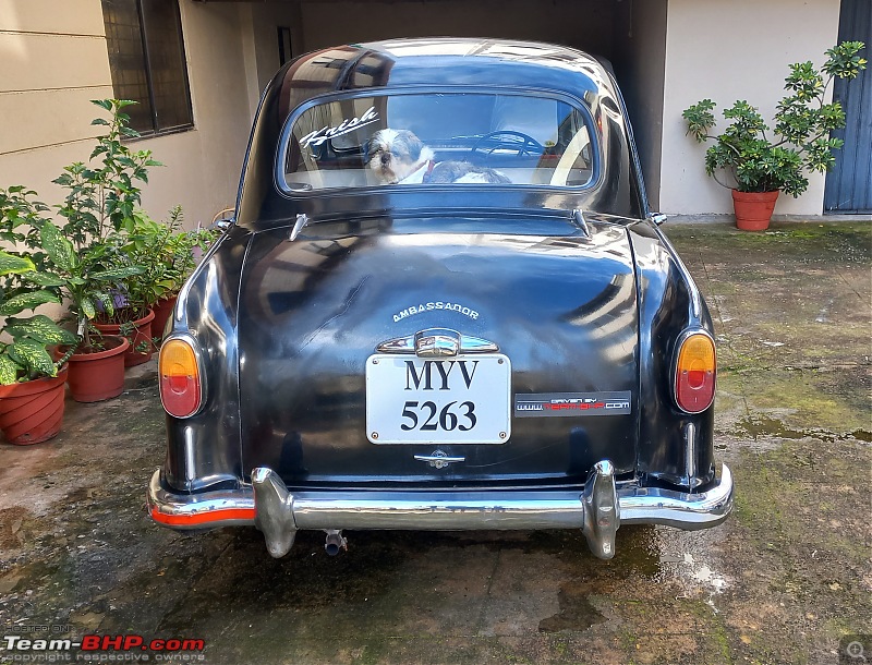 Our 1960 HM Ambassador Mark 1 - The Indian Marque!-2.jpg