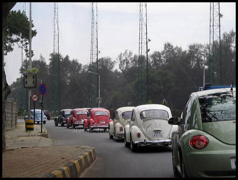 Bangalore Beetle Club (BBC)-img_8253..jpg