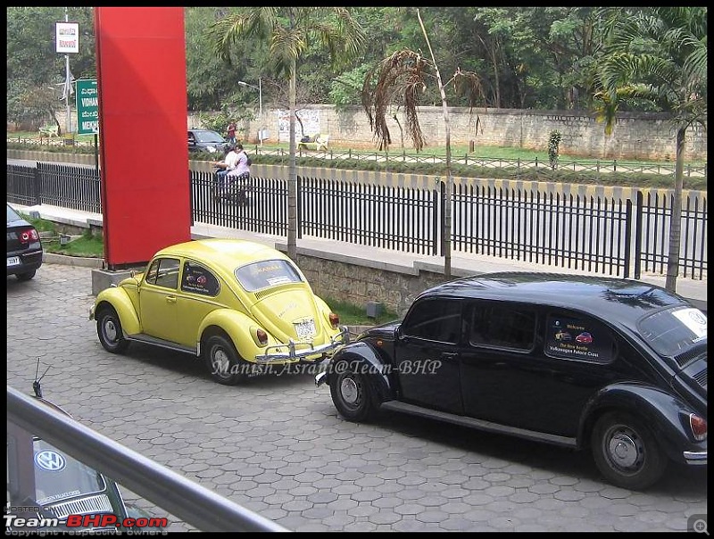 Bangalore Beetle Club (BBC)-img_8139..jpg