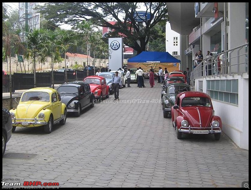 Bangalore Beetle Club (BBC)-img_8166..jpg