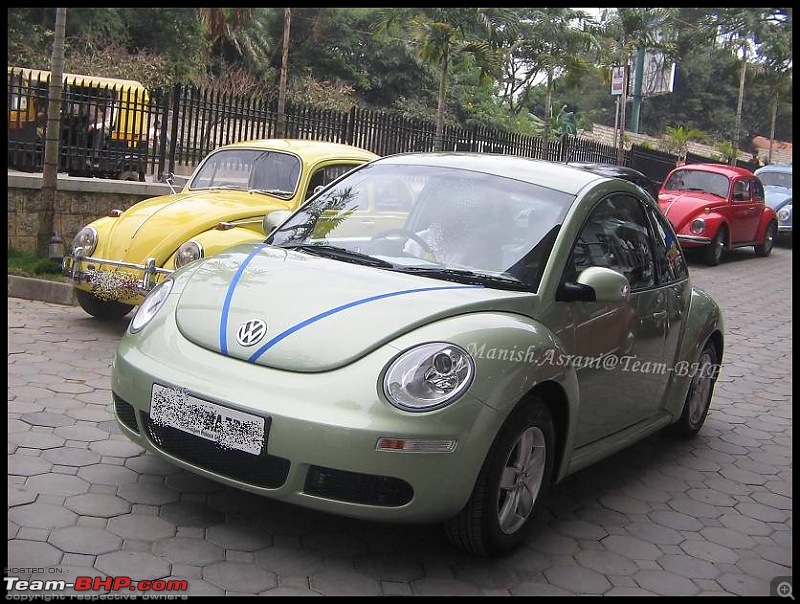 Bangalore Beetle Club (BBC)-img_8175..jpg