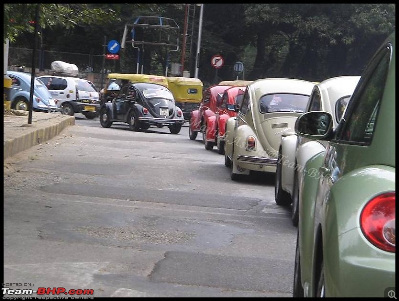 Bangalore Beetle Club (BBC)-img_8258..jpg