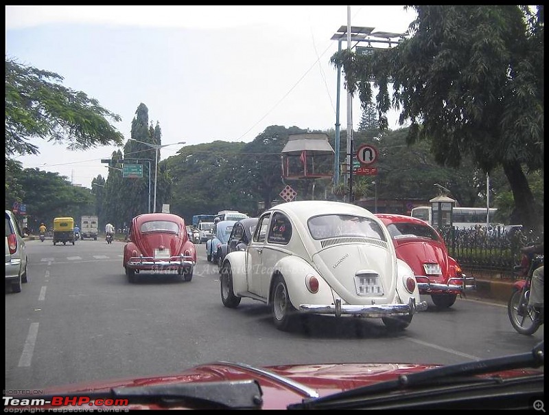 Bangalore Beetle Club (BBC)-img_8275.jpg