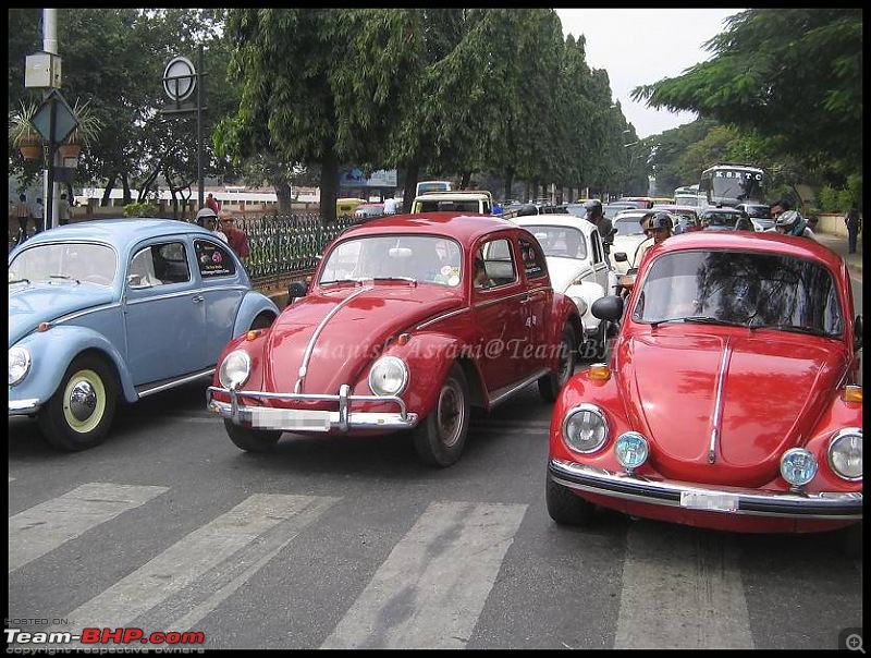 Bangalore Beetle Club (BBC)-img_8276..jpg