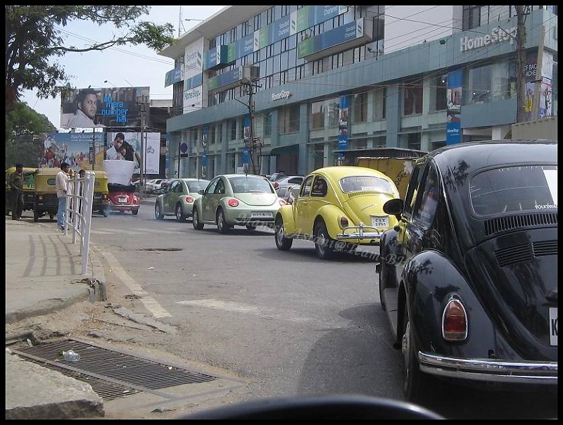 Bangalore Beetle Club (BBC)-img_8285..jpg