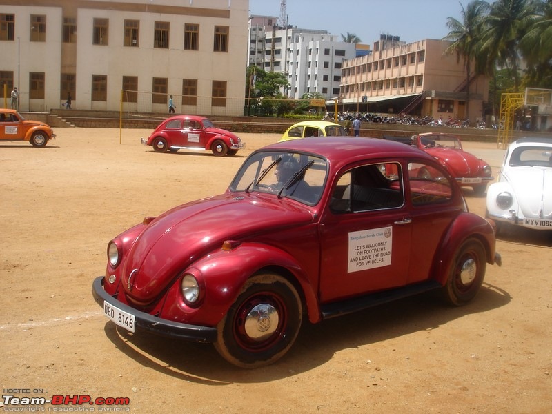 Bangalore Beetle Club (BBC)-bbc00025.jpg