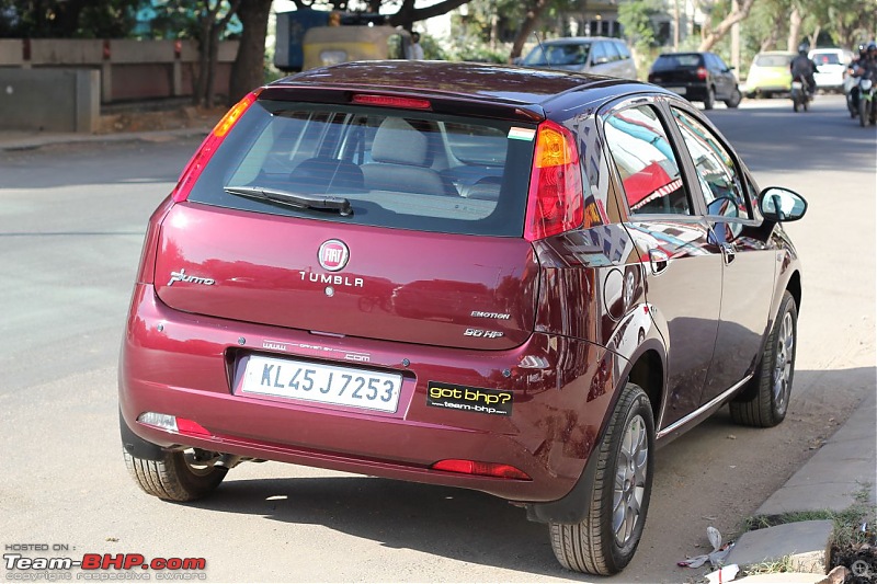 My Fiat Punto 90Hp Accident: Head-on collision with a Tree-tumblr_back006.jpg