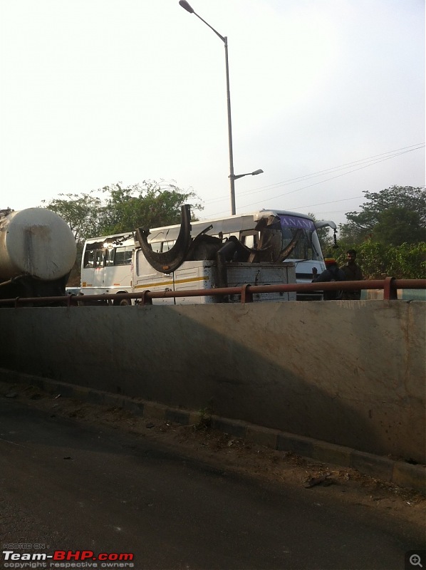 Accidents in India | Pics & Videos-photo-2.jpg