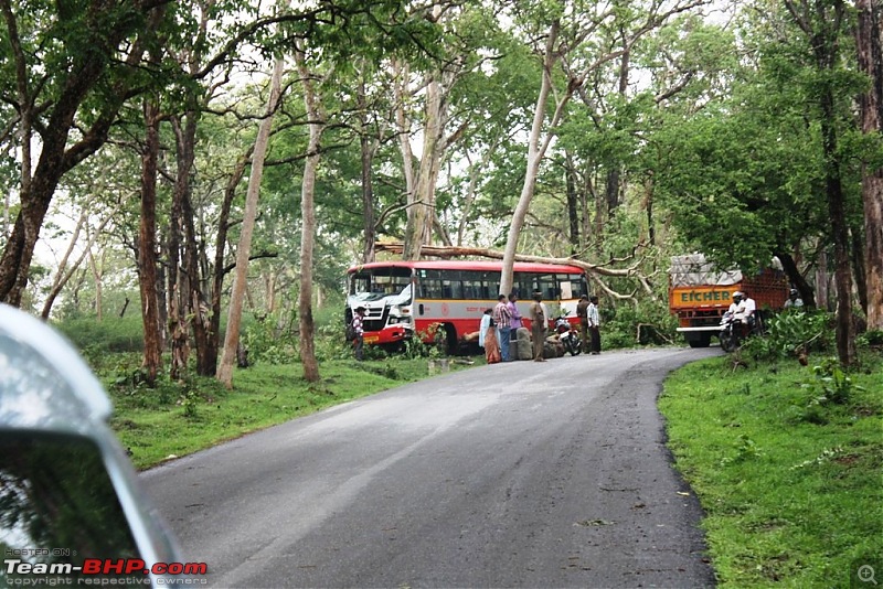 Accidents in India | Pics & Videos-accident-bandipur.jpg