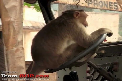 Accidents in India | Pics & Videos-image.jpeg