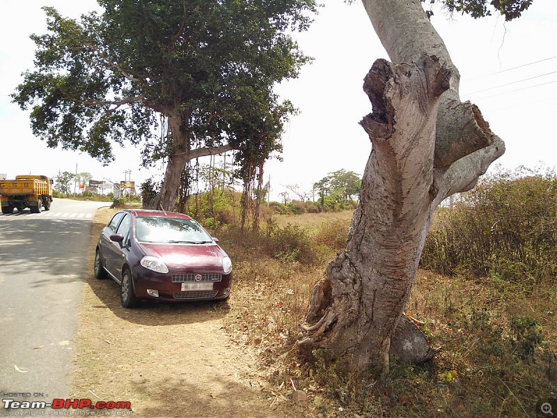 My Fiat Punto 90Hp Accident: Head-on collision with a Tree-img_20160228_141301776.jpg