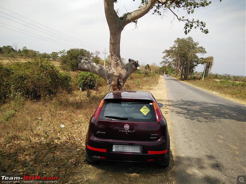My Fiat Punto 90Hp Accident: Head-on collision with a Tree-img_20160228_141324398.jpg