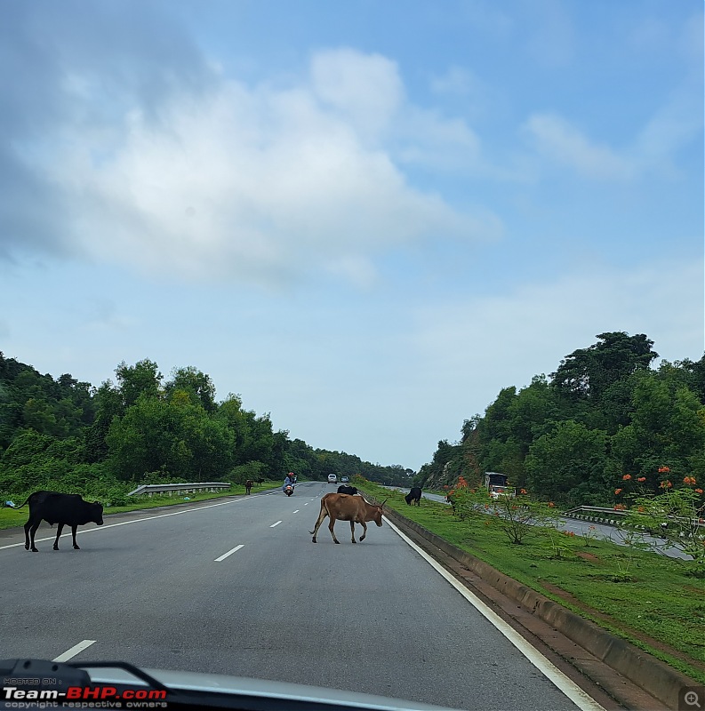Safe Driving on Indian Highways & Ghats-picsart_230807_130701404.jpg