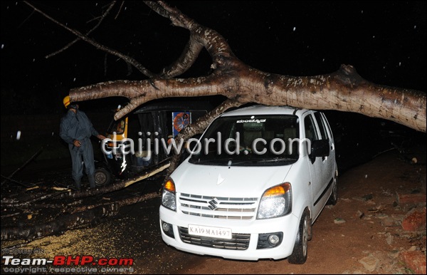 Accidents in India | Pics & Videos-tree1.jpg