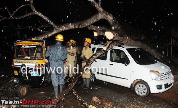 Accidents in India | Pics & Videos-tree2.jpg