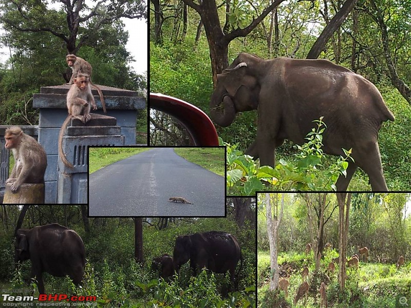 Pune - Mysore : Route Queries-20121021_083332.jpg