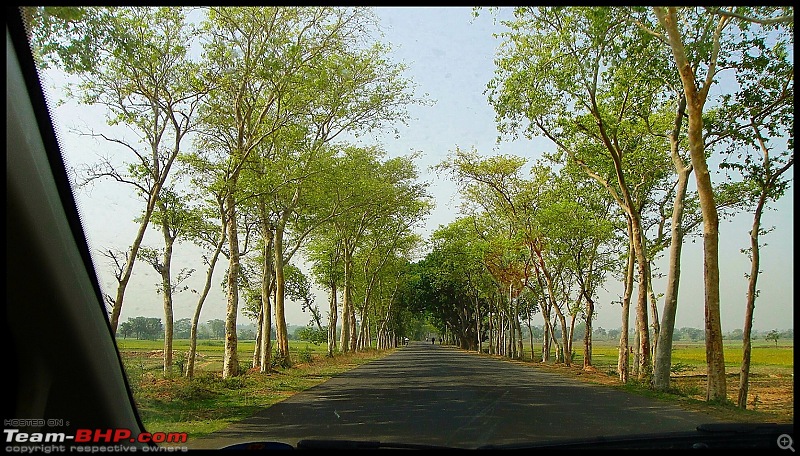 Kolkata - Siliguri route via Dumka, Bhagalpur or NH-12 (old NH-34)-dsc07480.jpg