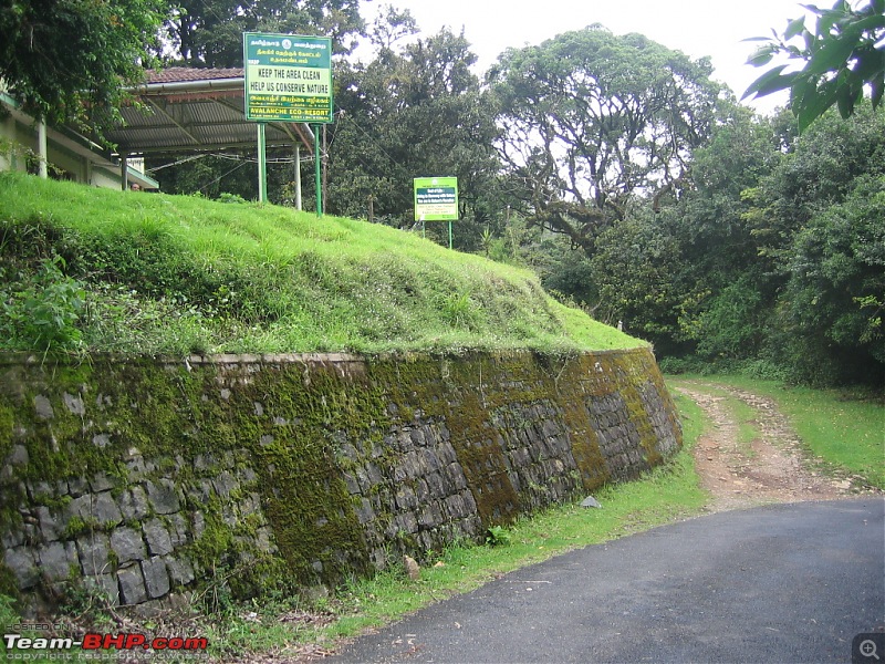 Bangalore - Mysore - Ooty : Route Queries-avalanchi-june-2012-026.jpg