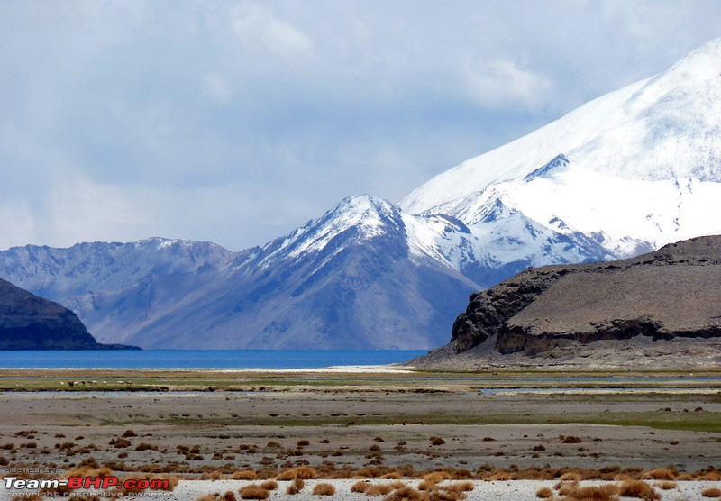 Leh, Ladakh and Zanskar - The Ultimate Guide-p1000164l.jpg