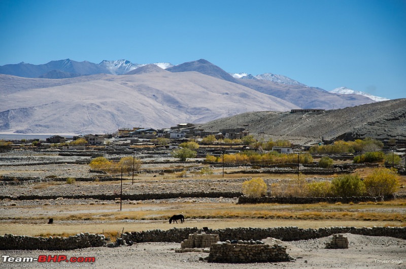 Leh, Ladakh and Zanskar - The Ultimate Guide-dsc_dsc_6490_lrl.jpg