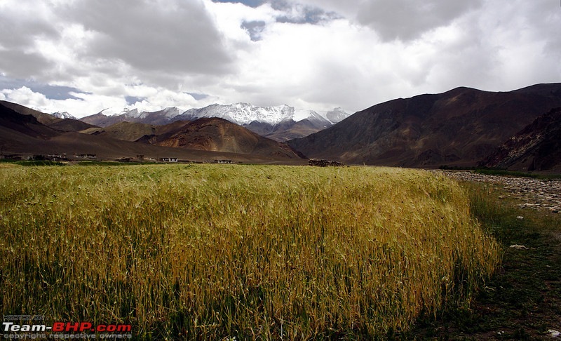 Leh, Ladakh and Zanskar - The Ultimate Guide-img_0957l.jpg