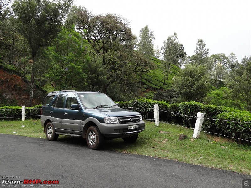 Bangalore to Munnar : Route Queries-mnr-oty-mys-041.jpg