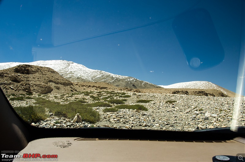 Leh, Ladakh and Zanskar - The Ultimate Guide-dsc_2216rsz.jpg