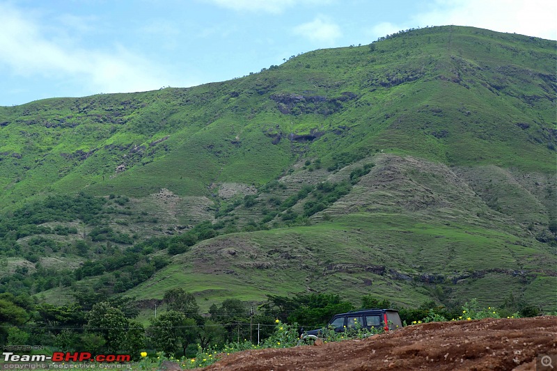 Palakkad [Kerala] to Anand [Gujarat]-dsc_0658.jpg