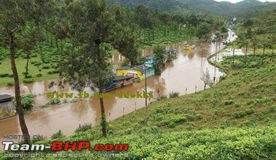 Bangalore to Munnar : Route Queries-image2484828134.jpg