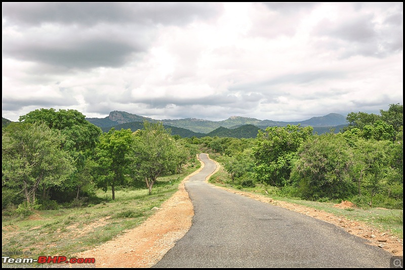 Bangalore - BR Hills : Route Queries-dsc_1427__wb01__wb02__wb03_fused.jpg