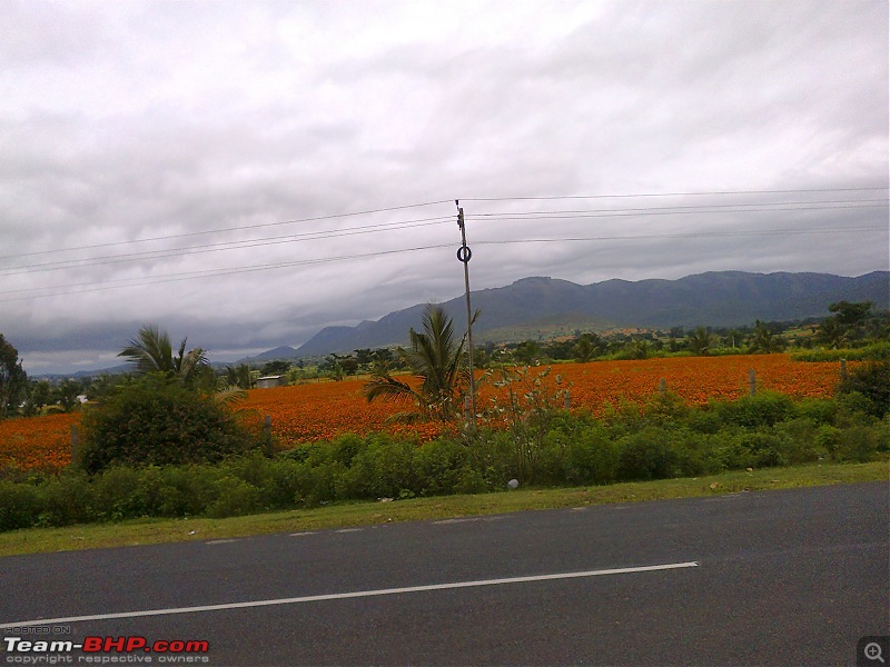 Bangalore - Calicut : Route Queries-photo0219.jpg