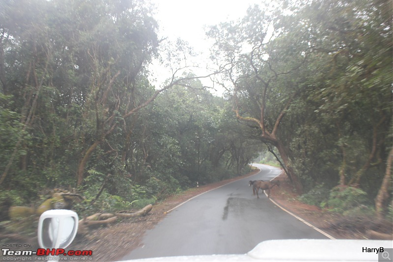 Bangalore - Goa : Route Queries-17img_5603.jpg