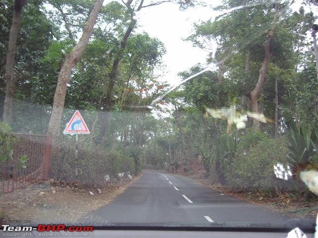 Bangalore - Yercaud Queries. EDIT: Avoid the Danishpet route!-p4121791.jpg