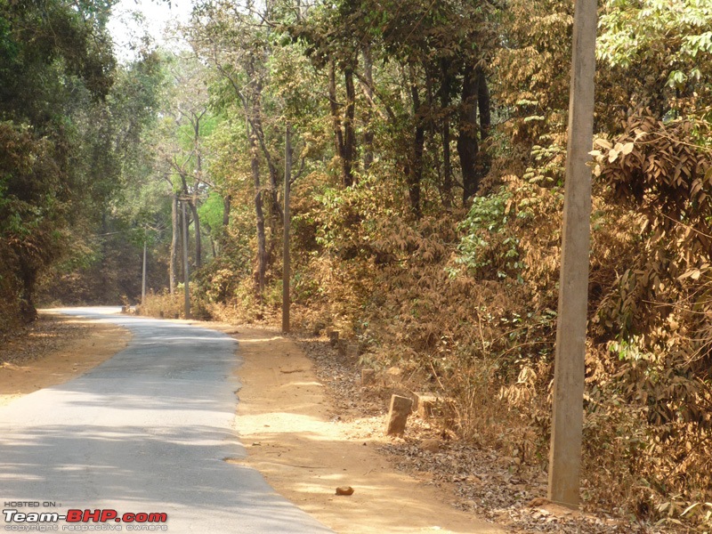 The art of travelling between Bangalore - Mangalore/Udupi-p1010351.jpg