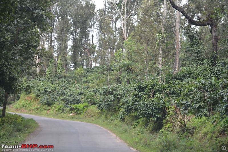Coorg recommendations-dsc_0152.jpg