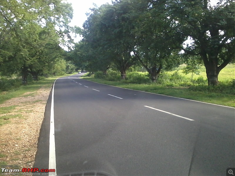 Bangalore - Chennai - Bangalore : Route Queries-alangayam-vellore-road.jpg